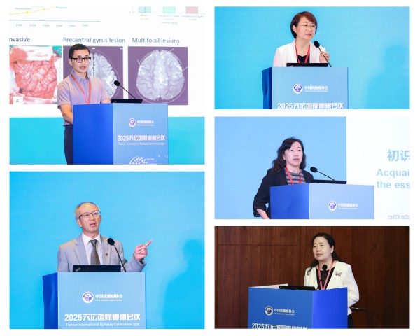 1765335423399245.jpg 主题1-1.jpg